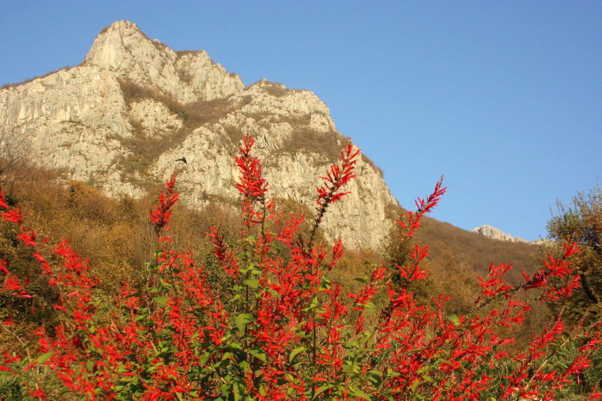 Agriturismo Deviscio Lecco Εξωτερικό φωτογραφία