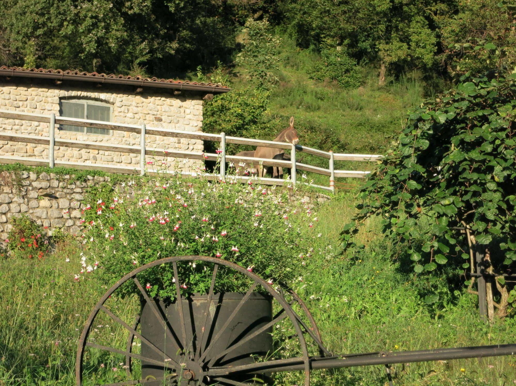 Agriturismo Deviscio Lecco Εξωτερικό φωτογραφία