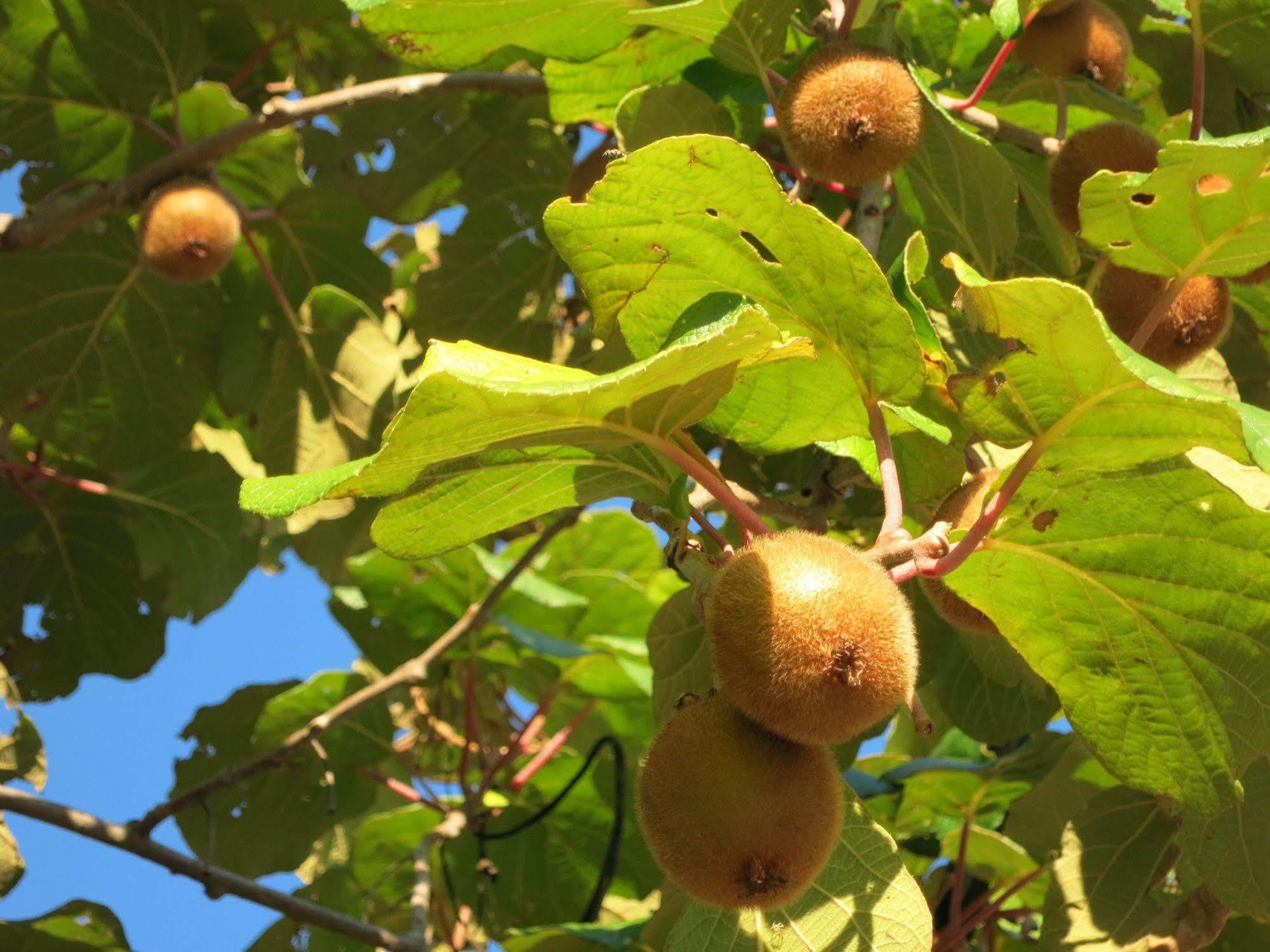 Agriturismo Deviscio Lecco Εξωτερικό φωτογραφία
